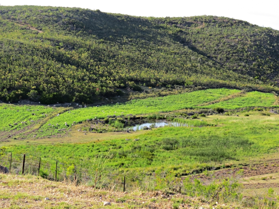 3 Bedroom Property for Sale in Joubertina Eastern Cape